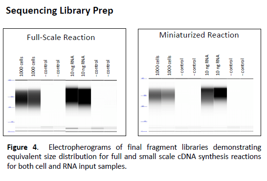 Sequencing Sequencing