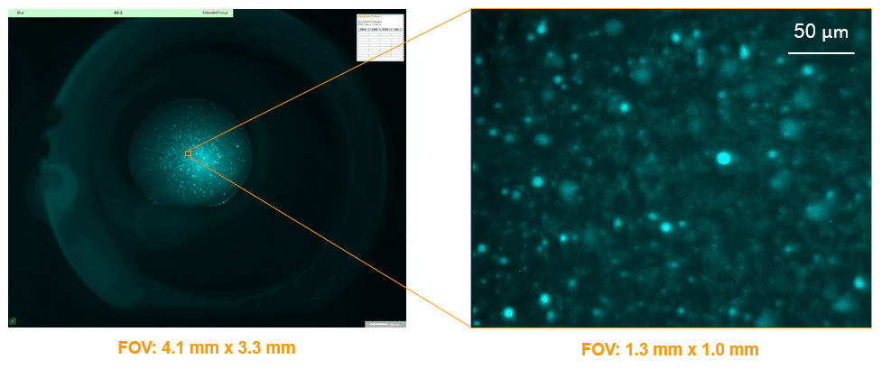 imaging-field-of-view-range imaging-field-of-view-range