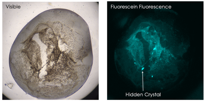 sensitive-crystal-detection sensitive-crystal-detection