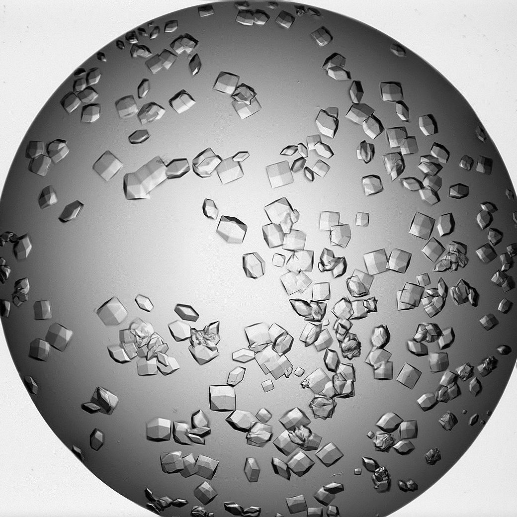 visible light protein crystals