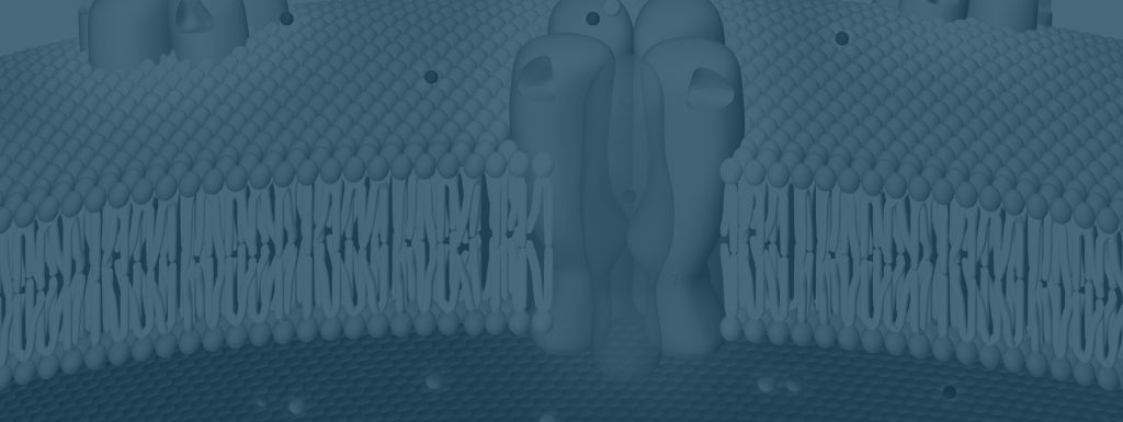 lipid bi-layer background
