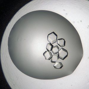 Protein Crystals captured in Visible Light