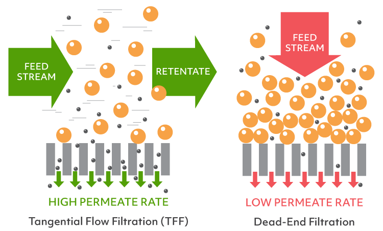 tangential flow filtration