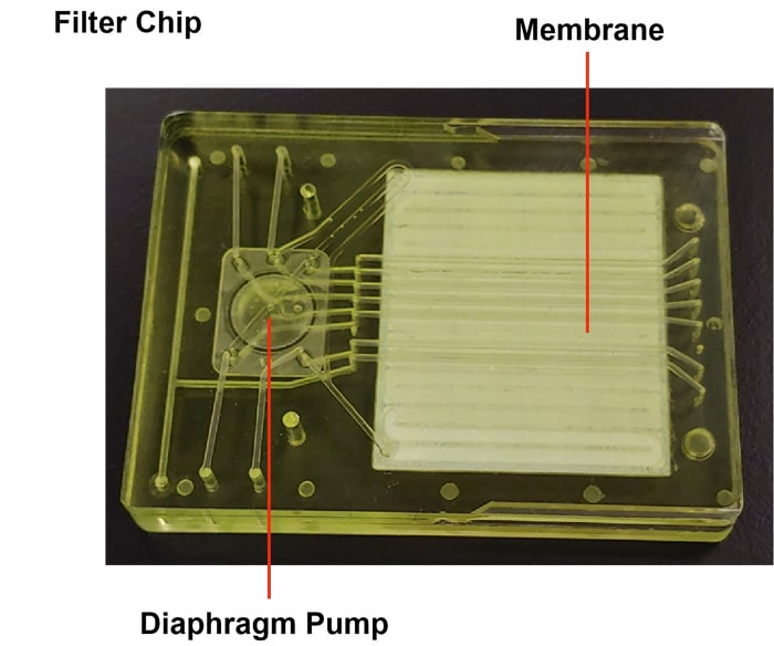 pulse-chip PULSE TFF Chip