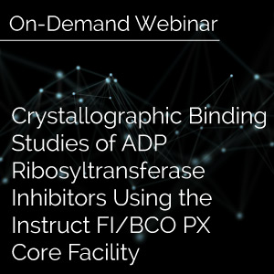 ADP Ribosyltransferase Inhibitors