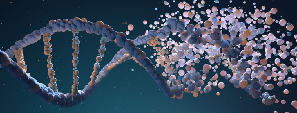 qpcr