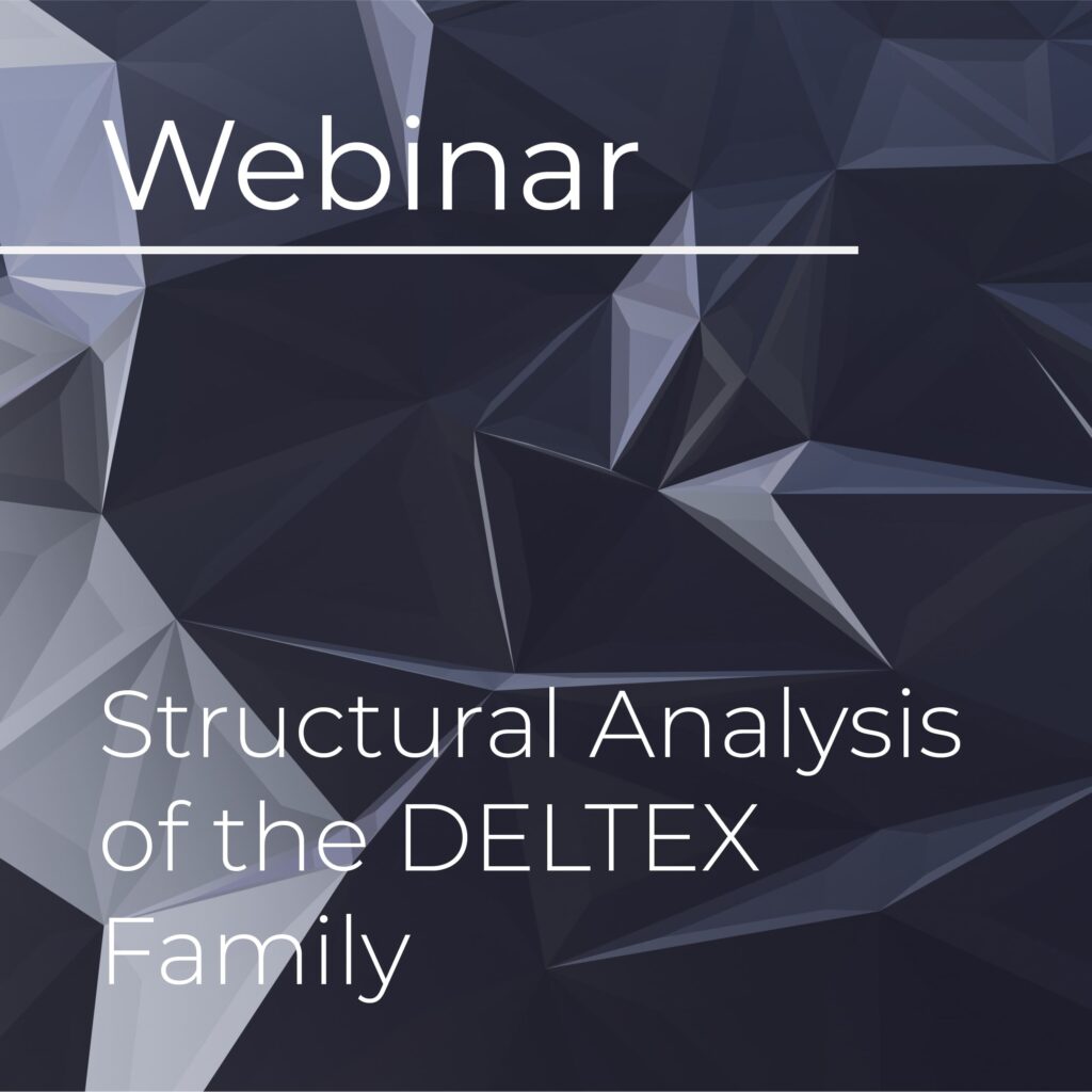 Structural Analysis of the DELTEX Family