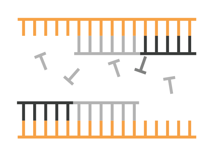 PCR Technologies