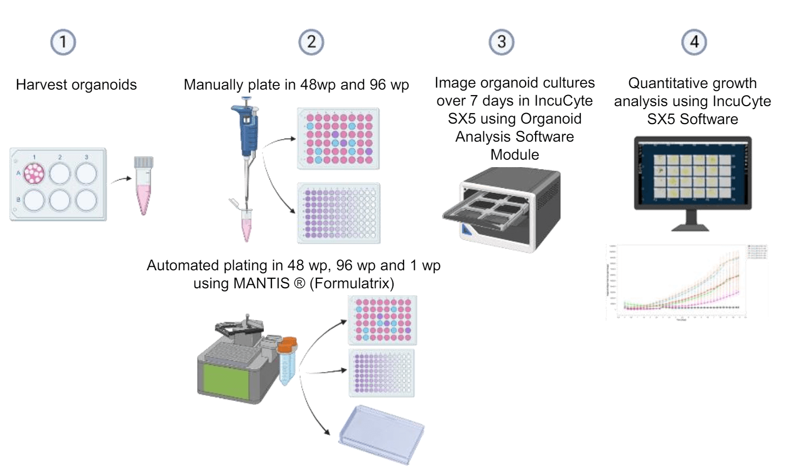 Intestinal and oesophageal tumour organoids - Sanger Institute