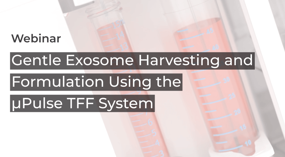 exosome purification