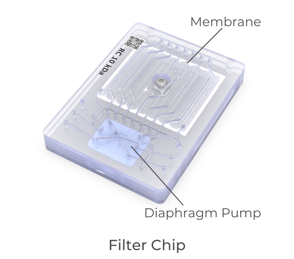 Filter chip