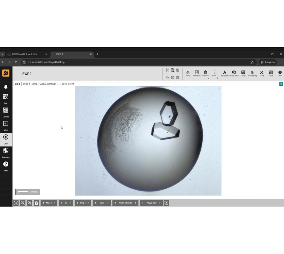 Rock Maker Crystallization Software