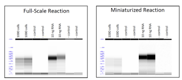 desktop microfluidics