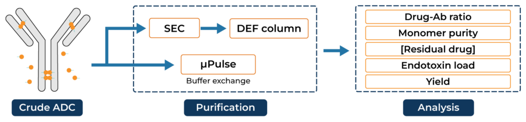 Single-step purification and formulation of antibody drug conjugate using the µPulse - TFF system