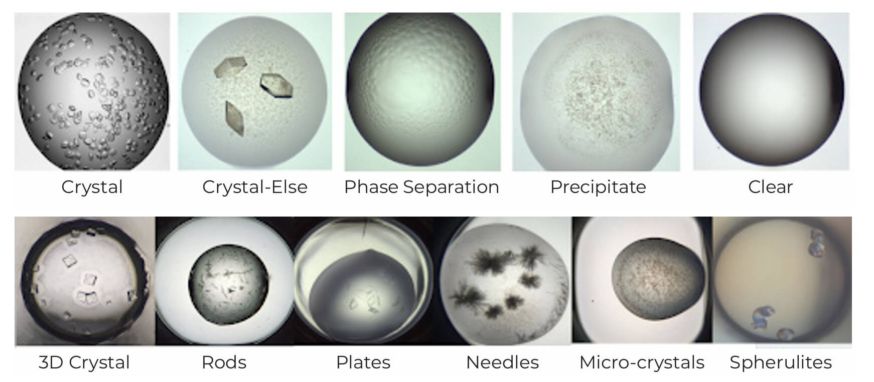 Image classes by Sherlock
