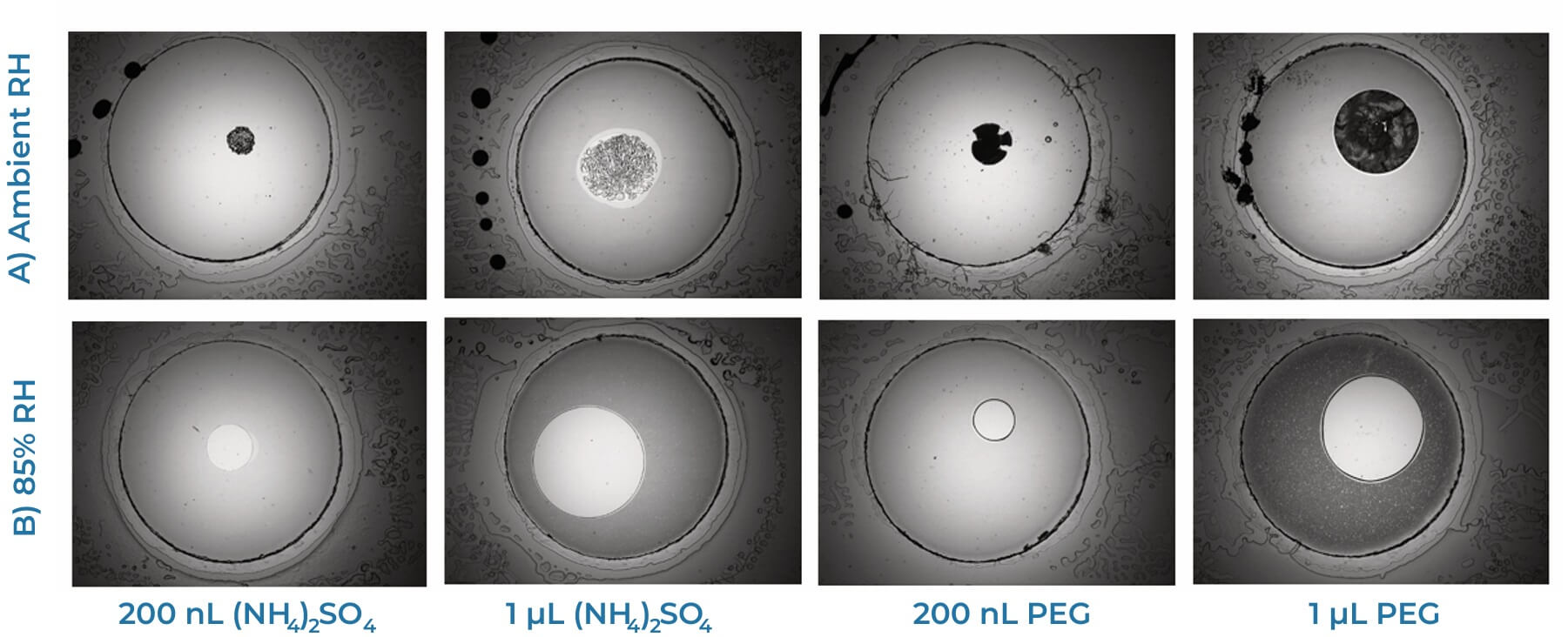 Influence of Humidity on Drop Evaporation