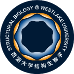 Shanghai Structural Biology (1)