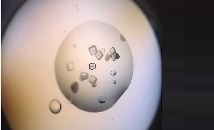 LH-MANTIS-TEMPEST-Webinar-VO-CN