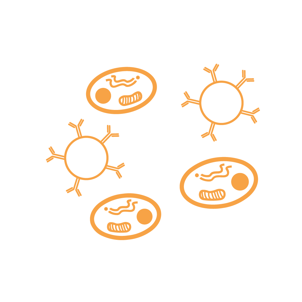 Cell-&-Bead-Based-Assays (1)