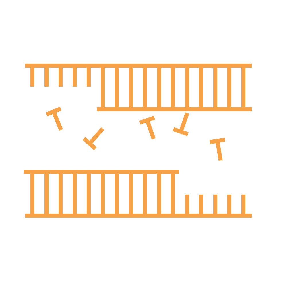 PCR-Technologies (1) (1)