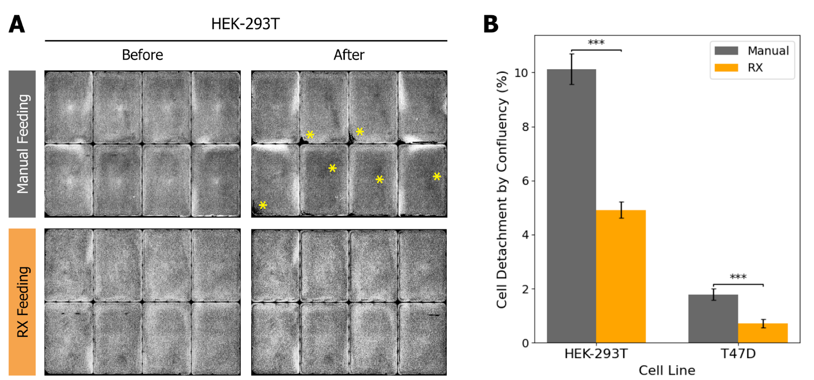 hek-293T cells