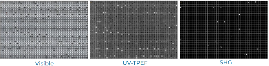 SONICC imaging of 1536-well plates detecting nanocrystals