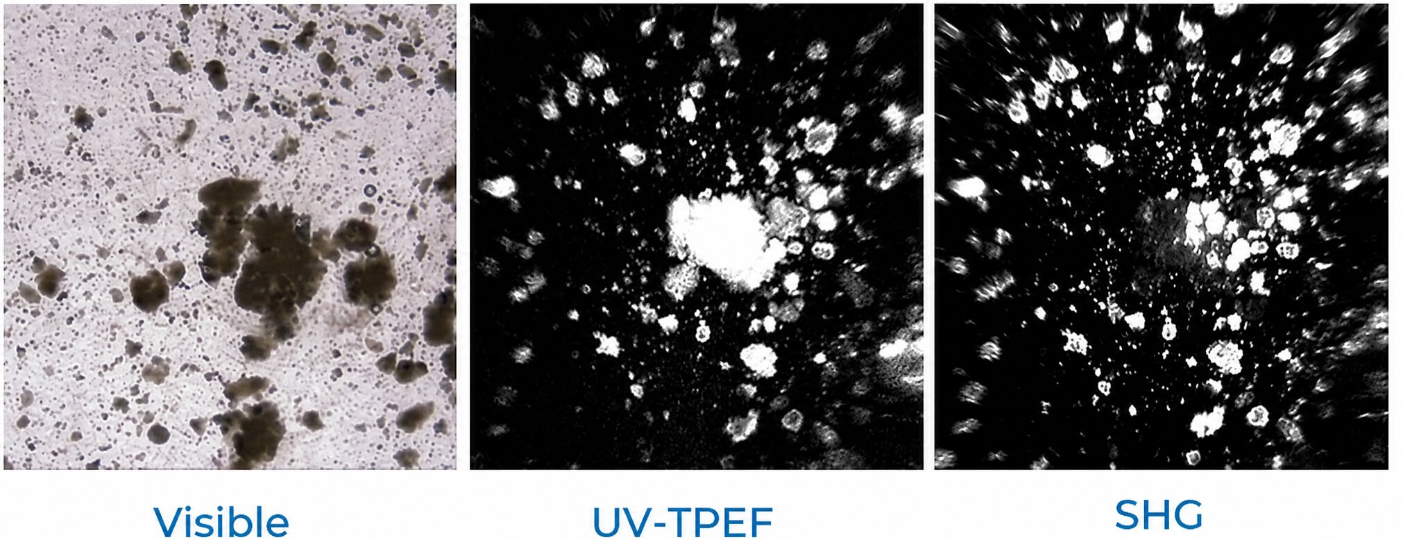 Visible UV-TPEF SHG - SONICC