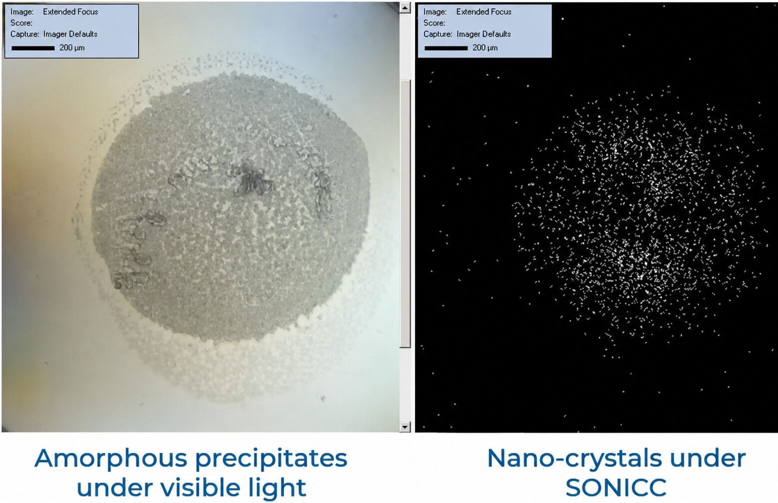 nano crystals under SONICC Figure