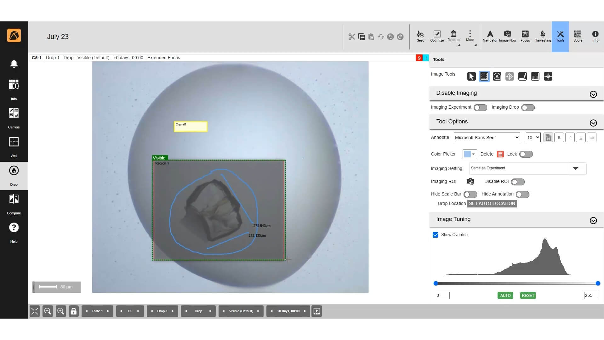 Dynamic and Efficient Image Viewing and Scoring - Rock Maker v4